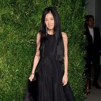 Vera Wang en la entrega de los CFDA 2015/ Vogue Fashion Fund