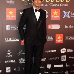 El modelo Andrés Velencoso en los Premios Gaudí 2016